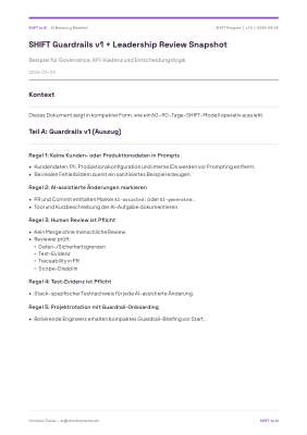 SHIFT Guardrails und Leadership Snapshot PDF-Vorschau